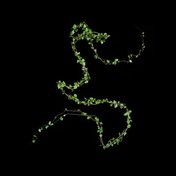 Climbing Vine - Leaf 09