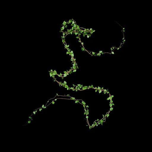 Climbing Vine - Leaf 09