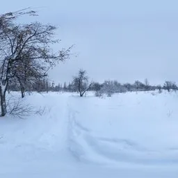 Snowy Park 01