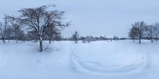 Snowy Park 01