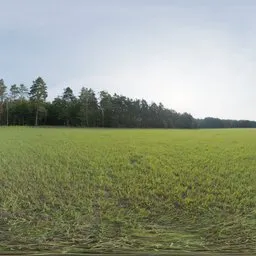 Lilienstein