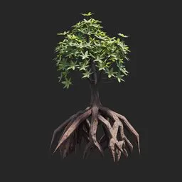 Mangrove Plant + Geometry Nodes + animation