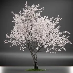 Tree Amelanchier Animated