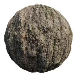 High-resolution 4K tree bark texture for PBR material in Blender 3D, created with Substance Sampler and rendered with Cycles.