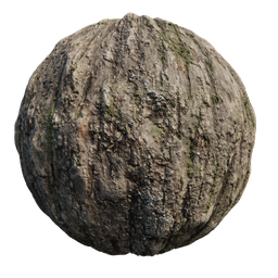 High-resolution 4K tree bark texture for PBR material in Blender 3D, created with Substance Sampler and rendered with Cycles.