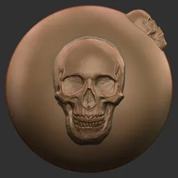Front Skull