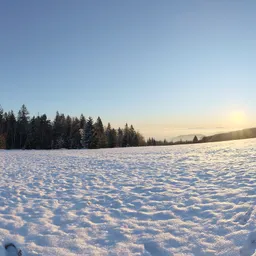 Stierberg Sunrise