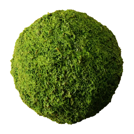 Moss