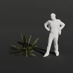 Palm Tree Small Plant