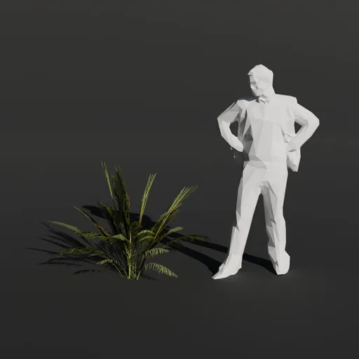 Palm Tree Small Plant