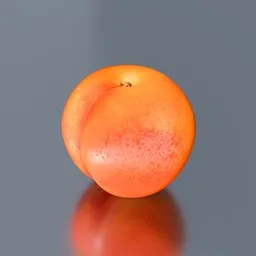 Apricot