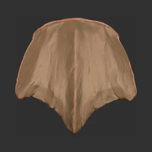 Torn Shield Scale