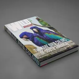 Highly detailed Blender 3D model of a colorful parrot-themed magazine.