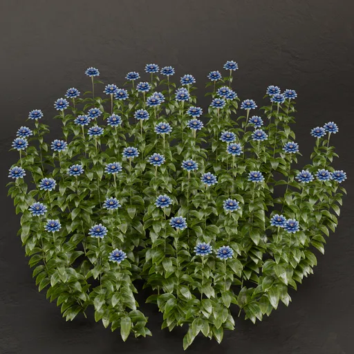 SJ-Decorative Flower Cluster