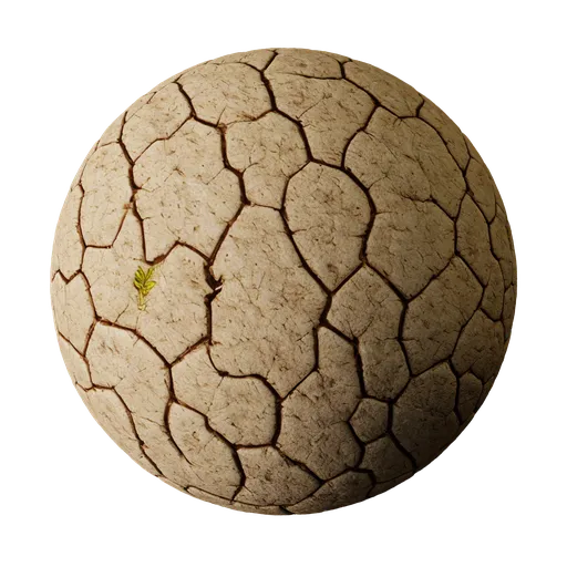 Dry Clay Soil
