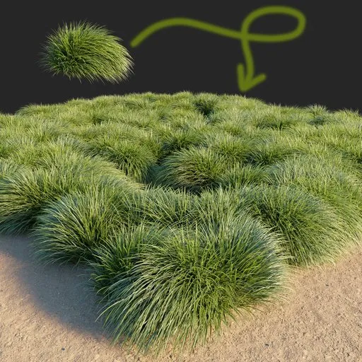 Grass bush