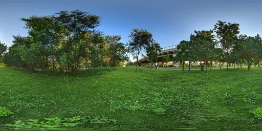 Lush green grass