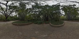 HDR of trees on a cloudy day