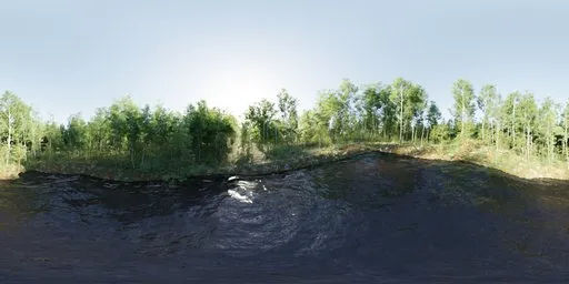Forrest Lake