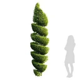 3.5m tall Ficus Bonsai 3D model with high-detail 4K textures and materials, cleanly designed with quad mesh for Blender.