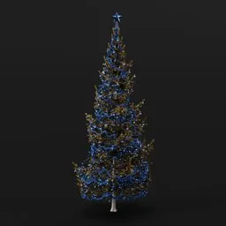 Christmas Tree Yellow Elder