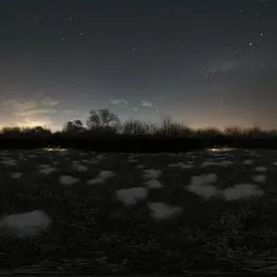 Garden Winter Backdrop Night