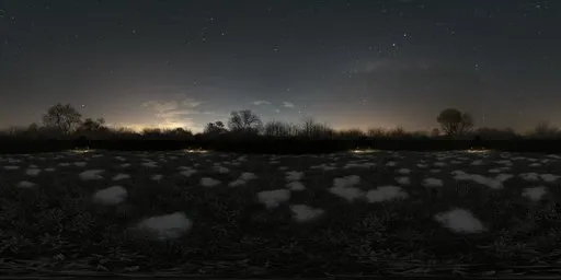 360-degree night garden HDR image with hedges and purple flowers for lighting scenes.