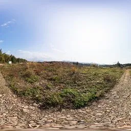 Morning Wilderness Trail