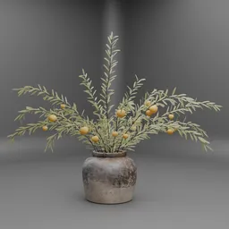 Olive Branch with Fruit in Rustic Vase