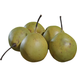 Pears Asian 01
