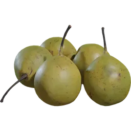 Pears Asian 01