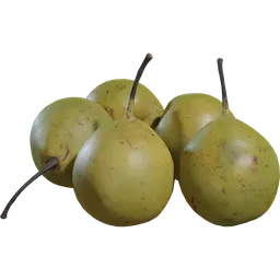 Pears Asian