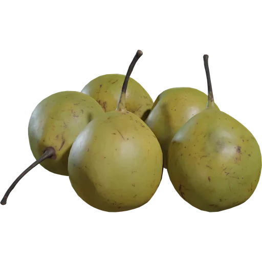 Pears Asian