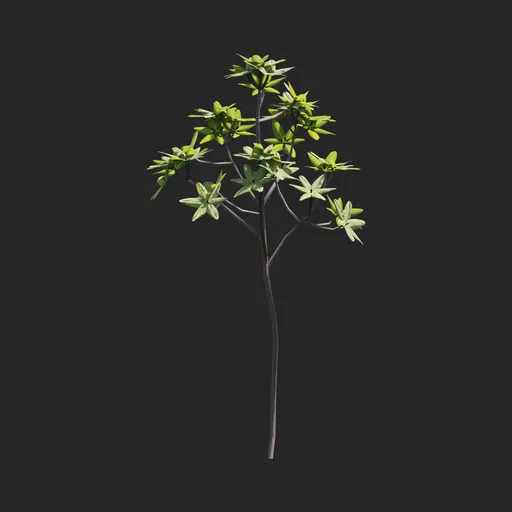 Mangrove Plant + Geometry Nodes + Animation