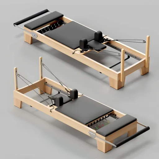 Reformer Elina