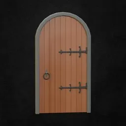 Medieval Door