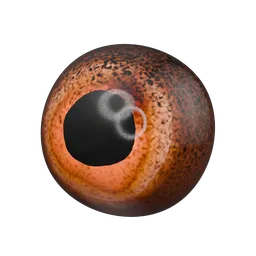 Procedural Fish Eye