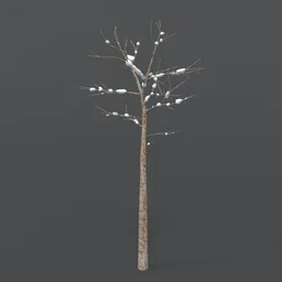 Tree With Snow