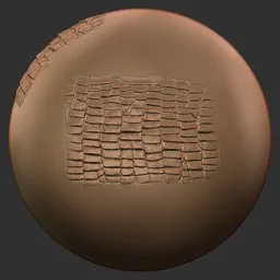 Rectangular Belly Scutes