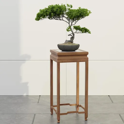 Elegant Canopy Bonsai Tree