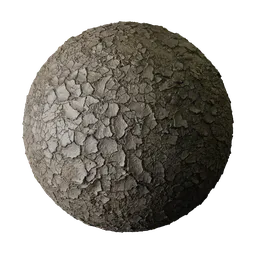 Damp Gray Flaking Mud Crust