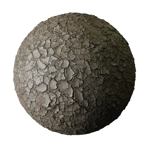 Damp Gray Flaking Mud Crust