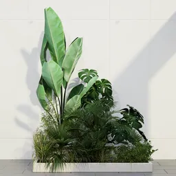 Tropical Indoor Garden Planter