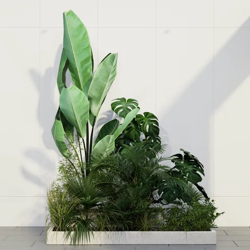 Tropical Indoor Garden Planter