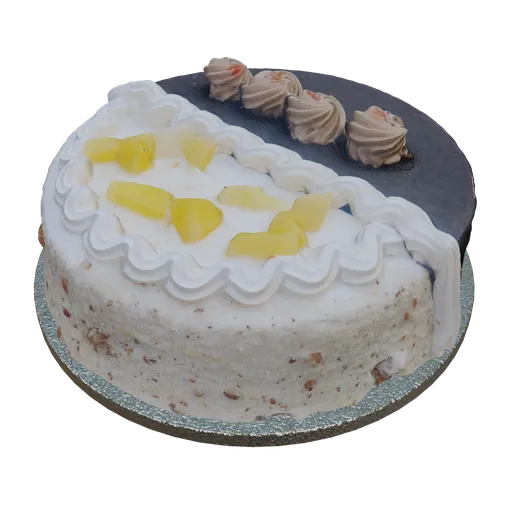 Cake Scanned