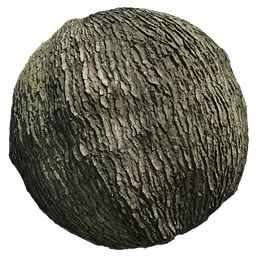 Scan Tree Bark 8k