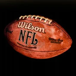 Realistic American Football Wilson NFL | Photo Scan