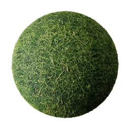 High-resolution seamless green grass PBR texture for Blender 3D and other rendering software, with detailed displacement channel.
