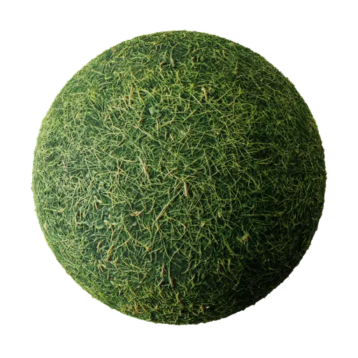 High-resolution seamless green grass PBR texture for Blender 3D and other rendering software, with detailed displacement channel.