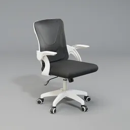 Ergonomic Office Chair